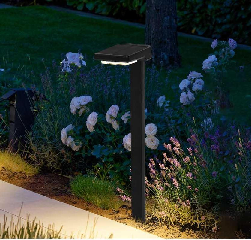 Lâmpadas de estaca LED a energia solar com ligação automática / desligação de 6 Pcs LED IP65 à prova d'água