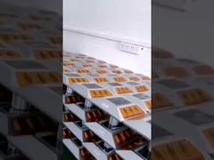 Parafuso prisioneiro solar durável impermeável da estrada da coluna para a segurança do caminho